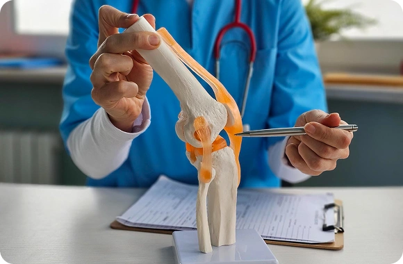 Orthopaedics